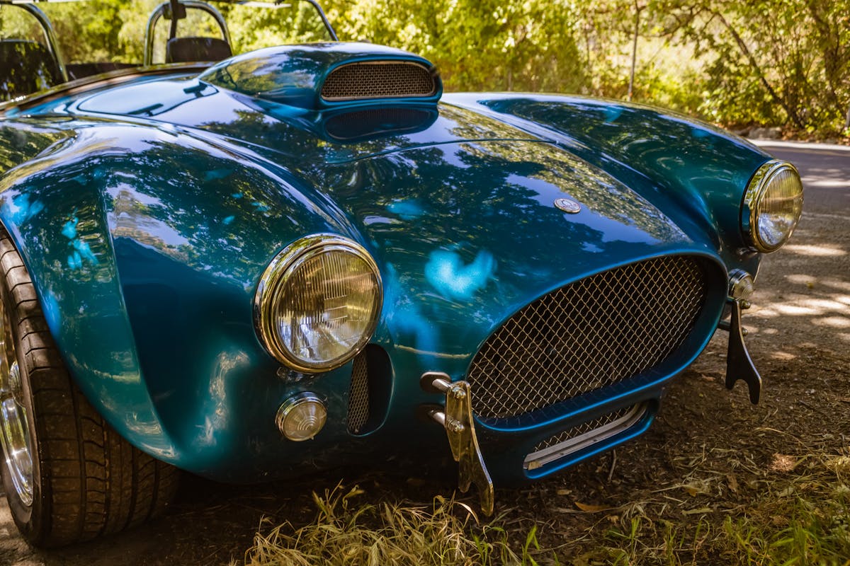A polished Cobra-style roadster catching the light — the show-finish standard.